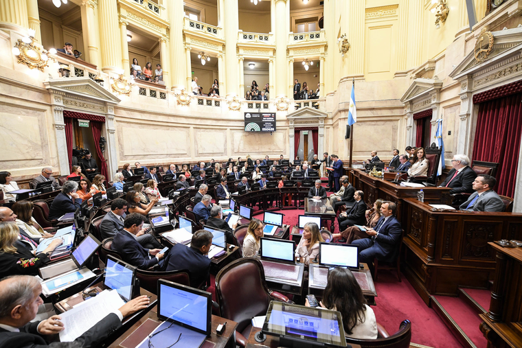 El Senado debate la reforma laboral.&nbsp;