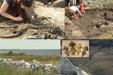 MDZol | Foto: dailymail..co.uk