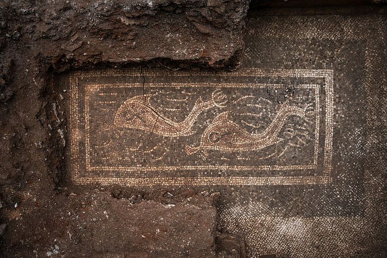 Uno de los mosaicos representa dos delfines, imagen rara en el arte romano de Austria. Uno de los mosaicos representa dos delfines, imagen rara en el arte romano de Austria.