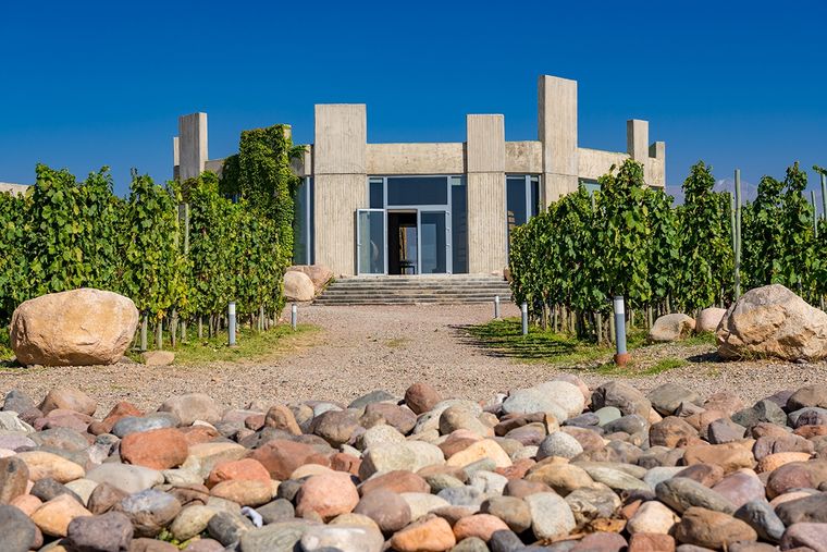 Un gran premio para los hermanos Michelini.