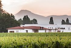 Las bodegas de Mendoza son un gran atractivo para los turistas Foto: Nieto Senetiner Bodega