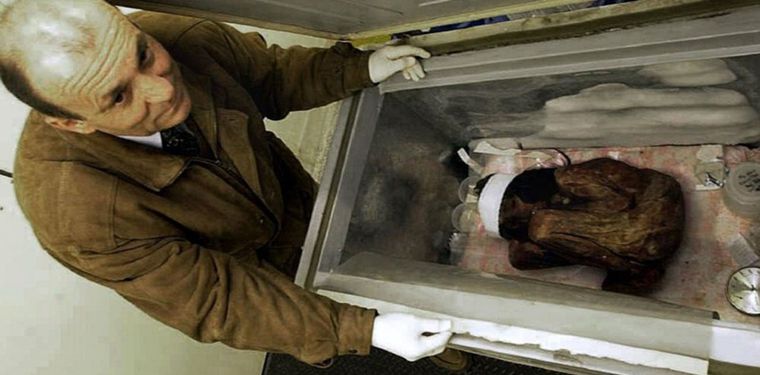 Así se encontraba la momia conservada en el Conicet. Así se encontraba la momia conservada en el Conicet.