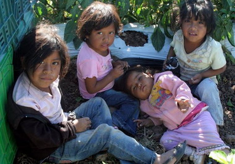 El 4,6 por ciento de los niños realizan casi todas las tareas domésticas del hogar. Foto: Web