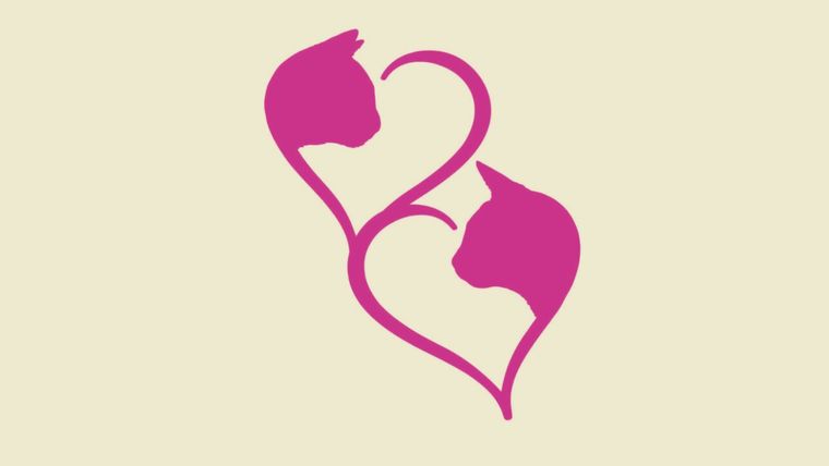 Test de personalidad