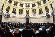 Foto: Twitter @SenadoArgentina