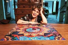 Alejandra Guzmán también ha incursionado en la actuación de telenovelas, series y programas de televisión.