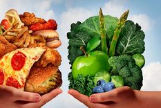 Se elige no consumir carnes animales, huevos, lácteos, miel y cualquier alimento que contenga algún derivado animal. Foto: Archivo MDZ