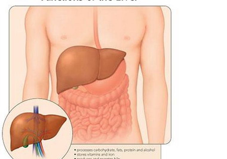 La población tiene que estar alerta por la hepatitis.