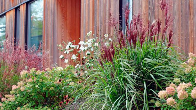 Un jardín radiante todo el año. Foto: Annika Zetterman
