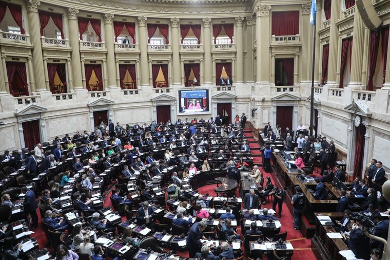 Foto: Twitter @DiputadosAR