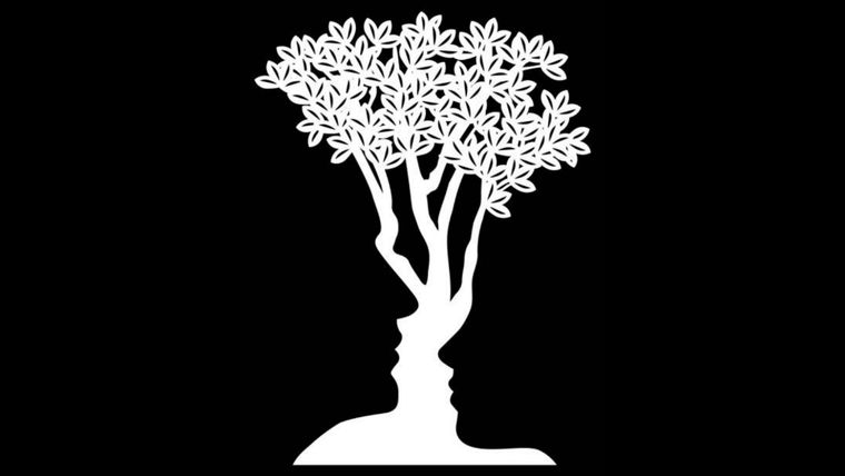 Test de personalidad Foto: Pinterest