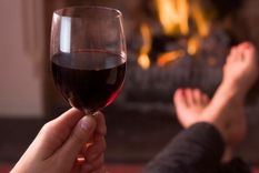 los datos positivos que difundio el indec sobre el vino