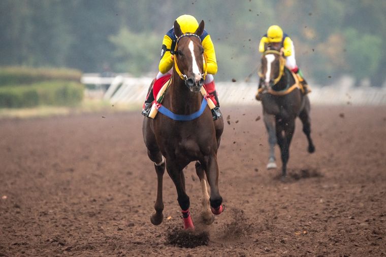 Invierno Ruso ganó a lo bueno en la prueba central de la jornada Foto: Gentileza José Maluf