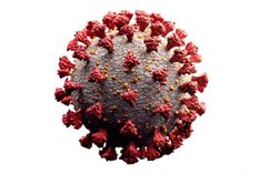 Al ser más pequeños que las bacterias, los virus permanecieron sin ser detectados por siglos.