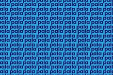 Acertijo visual Acertijo visual, Reto visual, Palabra Foto: MDZ Online