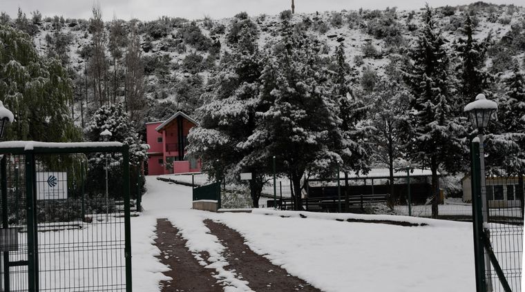 Foto: ALF PONCE MERCADO / MDZ