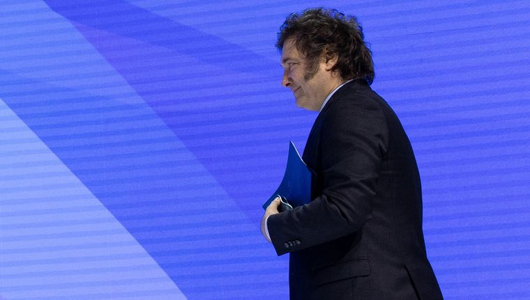 Javier Milei y una batería de medidas para controlar la inflación. Foto: Foro Davos