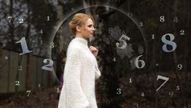 Los números de la suerte de hoy. Los números de la suerte de hoy.