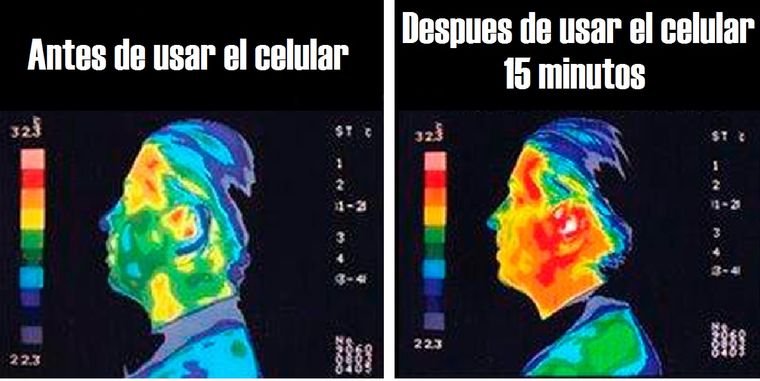700654.jpg