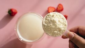 Los polvos de proteínas se han convertido en un alimento básico en la dieta de muchas personas.