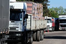 El transporte de cargas registra aumentos de costos por encima de la inflación y empuja los precios en numerosos sectores, por el impacto de la distribución y la logística. Foto: ALF PONCE MERCADO / MDZ