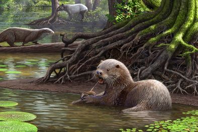 MDZol | Foto: SCI News