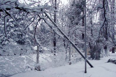 MDZol | Foto: Edemsa