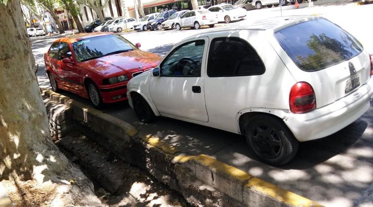 ¿Vamos o venimos? Foto: Gentileza