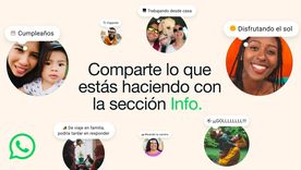 Llega una actualización en la sección info de WhatsApp. Llega una actualización en la sección info de WhatsApp.