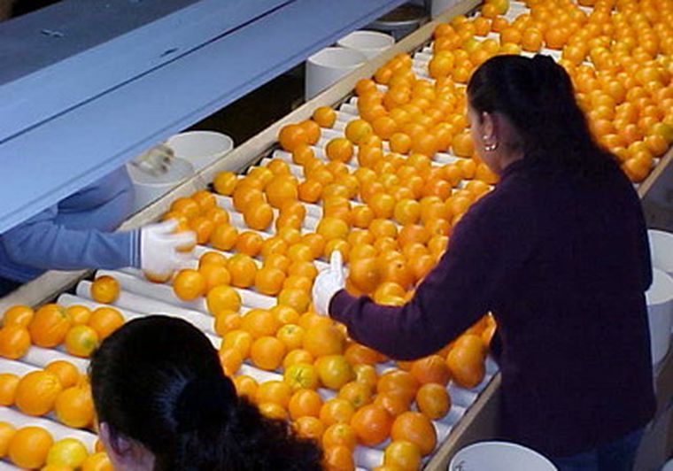 La pérdida de empleos son reflejo de las medidas adoptadas por los empresarios ante la crisis. Foto: web