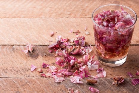 El abono casero que espanta las plagas y aporta nutrientes al jardín. Foto: Shutterstock El abono casero que espanta las plagas y aporta nutrientes al jardín. Foto: Shutterstock