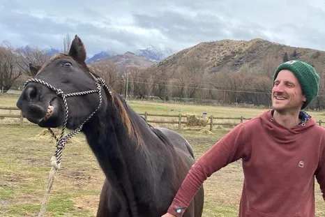El voluntariado para cuidar animales en Nueva Zelanda con alojamiento gratis. El voluntariado para cuidar animales en Nueva Zelanda con alojamiento gratis.