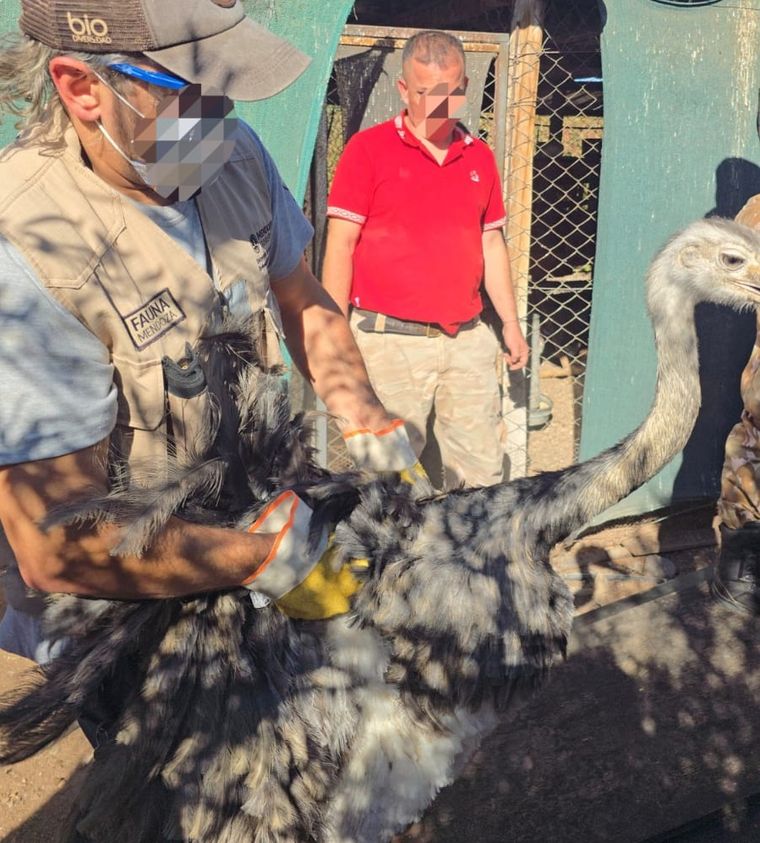 El personal del Departamento de Fauna trabajando en la escena. El personal del Departamento de Fauna trabajando en la escena.