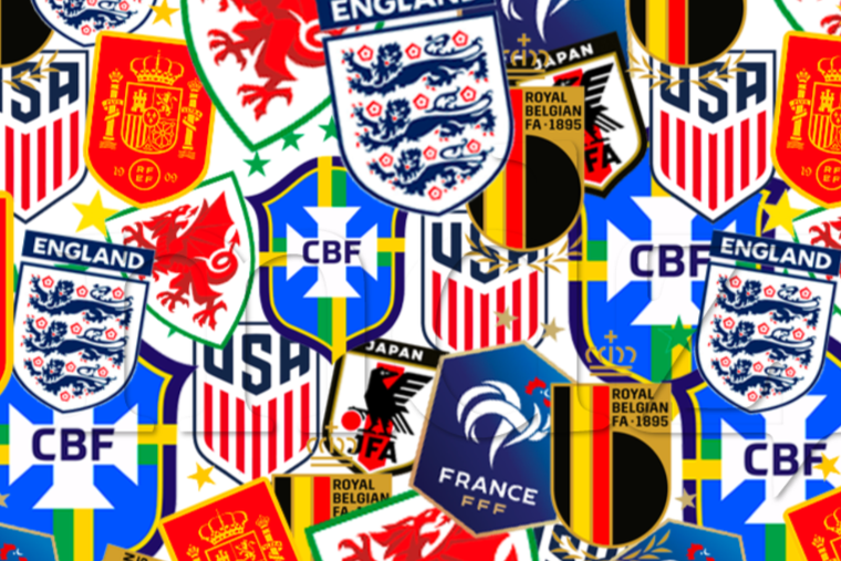 ENIGMA VISUAL ENIGMA VISUAL, RETO VISUAL, ESCUDO Foto: MDZ ONLINE