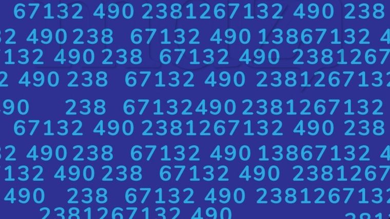 Cada nuevo reto representa una oportunidad para mejorar y desarrollar habilidades de percepción más afinadas Foto: Archivo MDZ