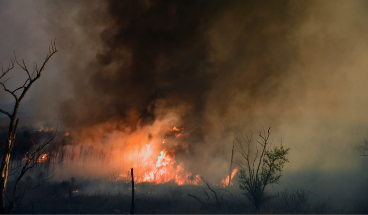 El riesgo de incendios crece ante las altas temperaturas