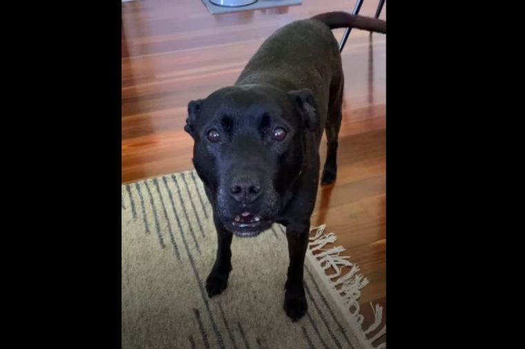 ¡Escucha su increíble reacción!