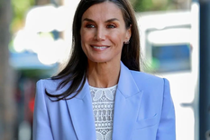 Nadie la esperaba y apareció: mira a la Reina Letizia. Foto: INSTAGRAM @letiziaortizfanss