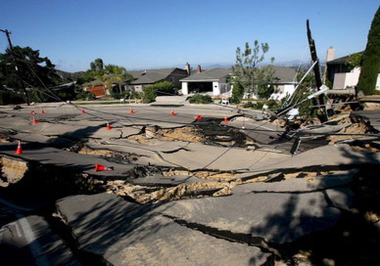 La cantidad de lombrices que aparecen muertas podría ayudar a determinar el epicentro. Foto: Efe