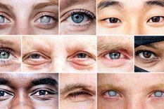 tenemos genes para regenerar ojos ciegos, pero desactivamos la funcion
