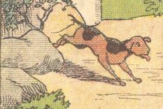 Acertijo visual, reto visual, dueño