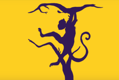 test de personalidad&nbsp;