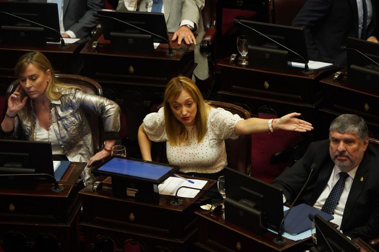 Anabel Fernández Sagasti, este miércoles en el Senado Foto: Télam
