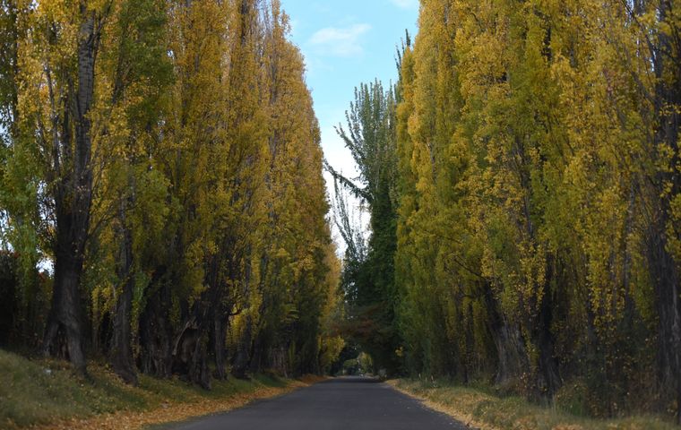El otoño de 2024 será muy distinto al de 2023, en el que se registraron bajas precipitaciones y altas temperaturas. Foto: Pachy Reynoso / MDZ