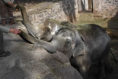 Foto: Prensa Gobierno de Mendoza
