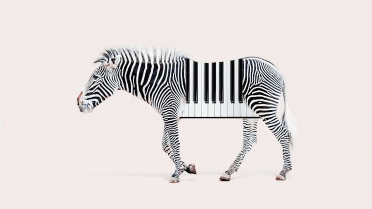 Test de personalidad