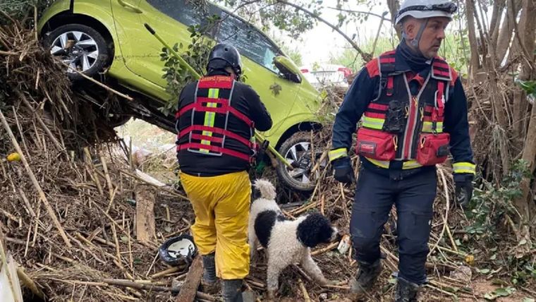Alberto, Roco y Héctor buscan a posibles víctimas en Catarroja. Foto: BBC News