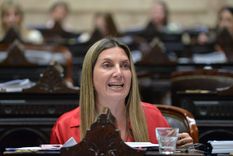 La diputada nacional del PRO Silvia Lospennato brindó detalles sobre la conversación que tuvo con el presidente Javier Milei tras la caída de la sesión para tratar el proyecto de Ficha Limpia. Foto: X (@DiputadosAR)