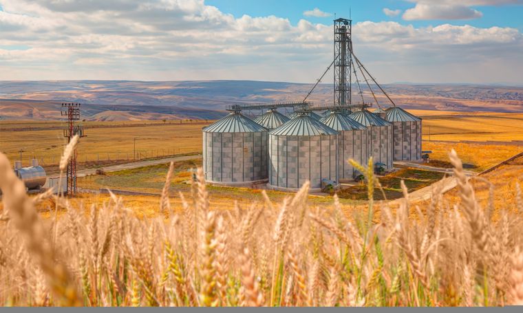 El campo espera una temporada sin sequía, aunque todavía en algunas áreas fuera de la Zona Núcleo, los perfiles de humedad de los suelos son deficientes. Foto: Creative Commons