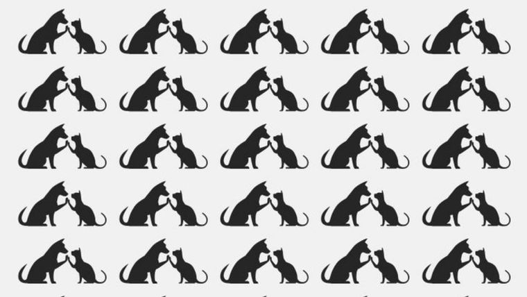 Acertijo visual, reto visual, animales